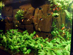 gallery_9962_1410_221857.jpg