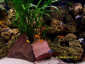 gallery_9962_1410_27911.jpg