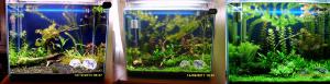 gallery_9962_676_397648.jpg