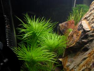 gallery_13564_1411_13769.jpg