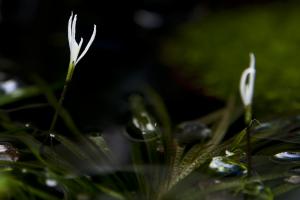 gallery_16632_1074_400424.jpg