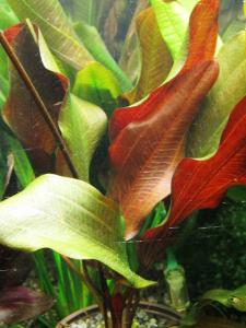 gallery_18339_1325_80923.jpg