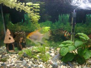 gallery_22504_1420_756965.jpg