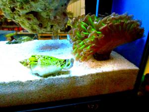 gallery_7576_1421_133636.jpg