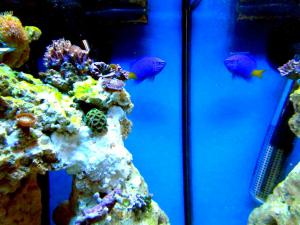 gallery_7576_1421_137166.jpg