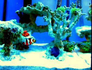 gallery_7576_1421_241309.jpg