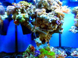 gallery_7576_1421_66006.jpg