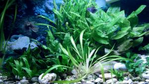 gallery_21910_1432_218157.jpg