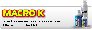 gallery_1_1_17436.png