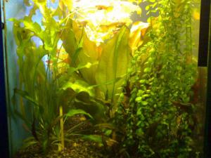 gallery_12262_1435_22393.jpg