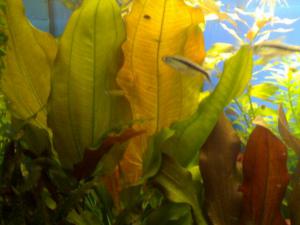 gallery_12262_1435_26387.jpg