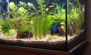 gallery_20889_1436_238199.jpg