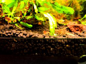 gallery_7576_774_28290.jpg