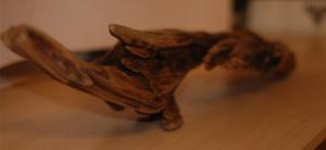 gallery_20535_1439_266.jpg