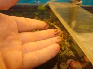gallery_16019_1444_396224.jpg