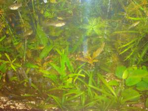 gallery_16019_1444_478474.jpg