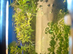 gallery_16019_1444_621319.jpg