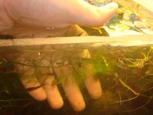 gallery_16019_1444_630262.jpg