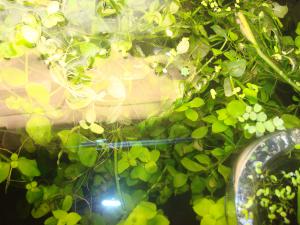 gallery_16019_1444_88287.jpg
