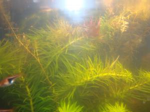 gallery_16019_1444_1576262.jpg