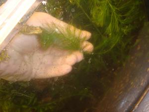 gallery_16019_1444_2023662.jpg
