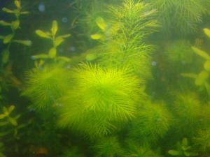 gallery_16019_1444_2067701.jpg