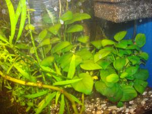 gallery_16019_1444_2270317.jpg