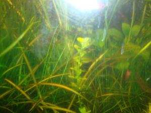 gallery_16019_1444_2508023.jpg