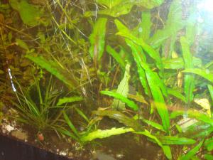gallery_16019_1444_2514250.jpg