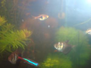 gallery_16019_1444_1154425.jpg