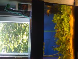 gallery_16019_1444_123300.jpg