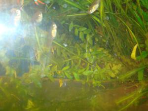 gallery_16019_1444_1236662.jpg