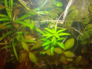 gallery_16019_1444_2202343.jpg