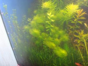 gallery_16019_1444_2394310.jpg
