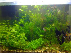 gallery_16019_1444_28780.jpg
