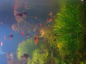 gallery_16019_1444_317491.jpg