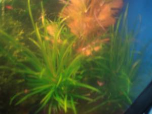 gallery_16019_1444_34693.jpg