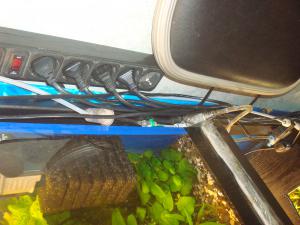 gallery_16019_1444_494954.jpg