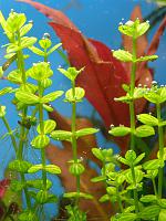 gallery_16019_1444_13319.jpg