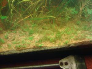 gallery_16019_1444_106716.jpg