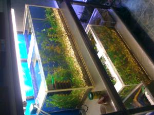gallery_16019_1444_127186.jpg