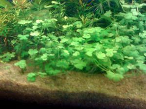 gallery_16019_1444_153831.jpg