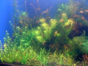 gallery_16019_1444_174092.jpg