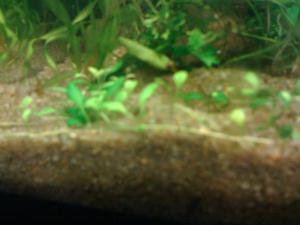 gallery_16019_1444_23656.jpg