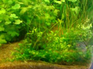 gallery_16019_1444_54345.jpg