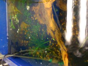 gallery_16019_1444_89255.jpg