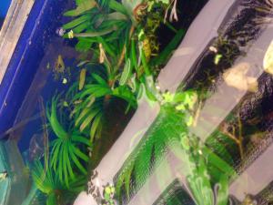 gallery_16019_1444_303089.jpg