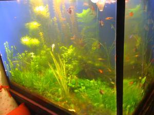 gallery_16019_1444_746681.jpg