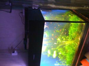 gallery_16019_1444_770779.jpg