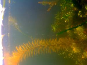 gallery_16019_1451_394645.jpg